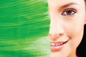 Cilde dair ayrıntılar