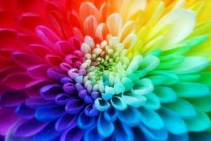 Mavi Mor Beyaz Renklerin İnsan Üzerindeki Etkileri