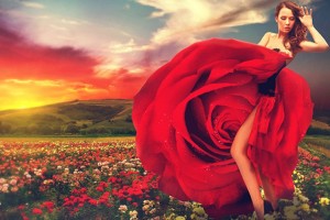 Sağlık İçin Gül